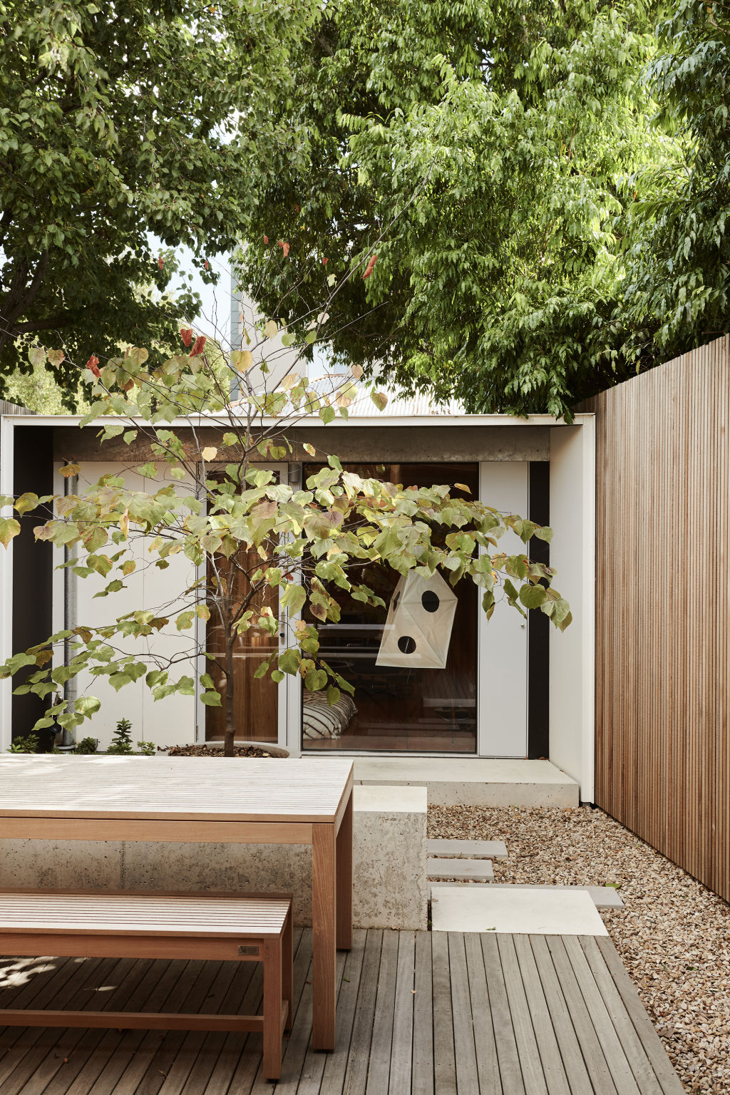 Looking out to the internal courtyard, with the contained studio behind. A potted Cercis Canadensis ‘Forest Pansy’ in the courtyard creates a minimalist, Japanese feel. Styling: Annie Portelli. Photo: Eve Wilson
