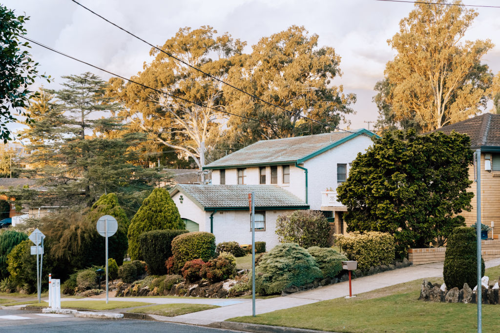 The suburb's reasonably priced homes on large blocks are a drawcard for young families. Photo: Vaida Savickaite