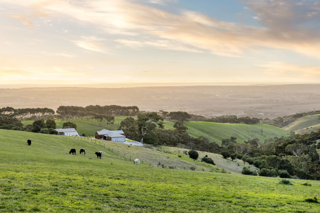 The Fleurieu Peninsula is known for its picturesque farmland and vineyard areas. Photo: Supplied