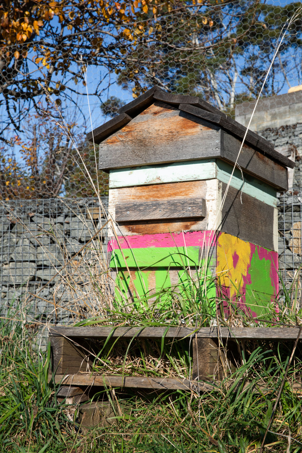 Even the bees get a bright hive to call home. Photo: NATASHA MULHALL