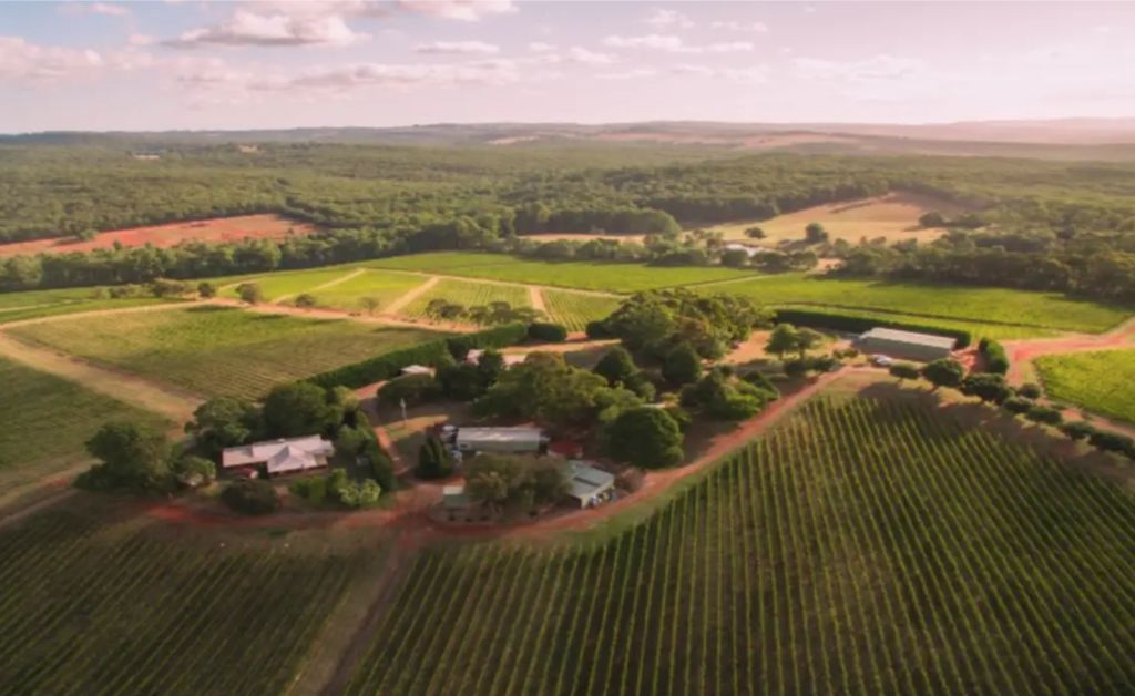 Treasury Wine Estates snaps up Accolade's Yarra Valley vineyard