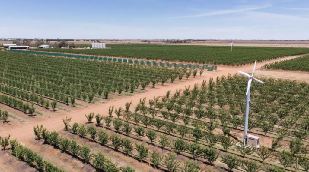 Aware Super keeps $100m of water, sells the farm to Costa family