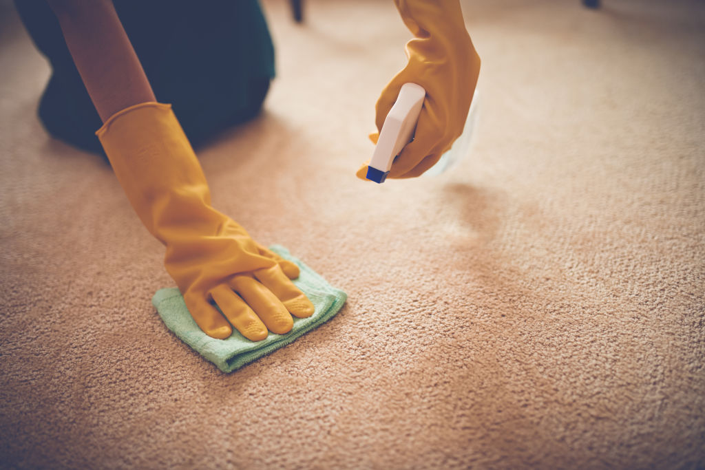 Some policies even cover the likes of carpet damage. Photo: iStock