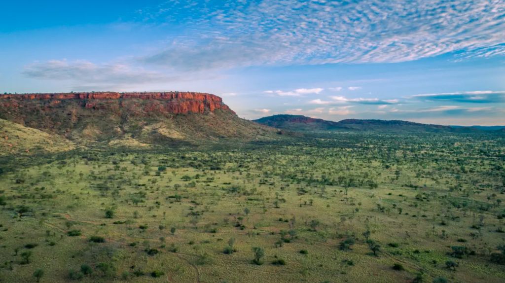 Australia's biggest landowners spend $70m on NT cattle station