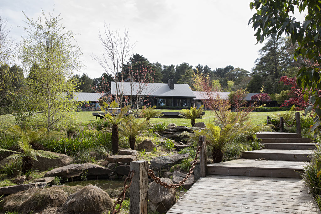 Brereton says the garden and the trees are the 'true heroes' of her property Photo: Natalie Jeffcott