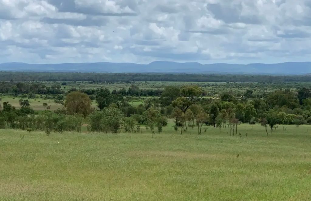 Fund managers snap up $150m of NT, Qld cattle stations