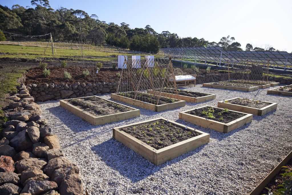 According to landscape designer Samantha Crawford, kitchen gardens are making a big comeback. Photo: Nine