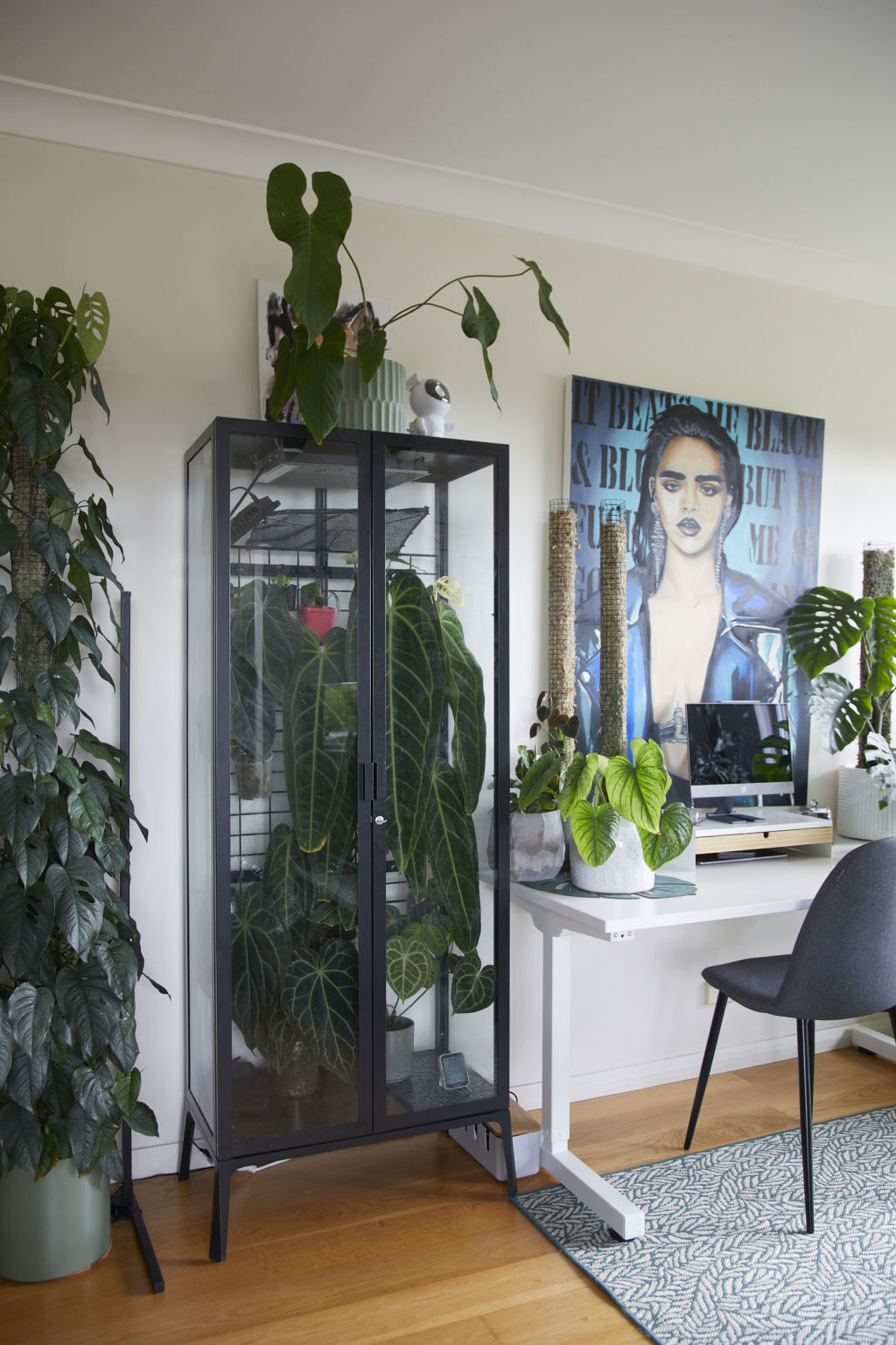 Some plants spend time in an IKEA cabinet Gettmann converted into a greenhouse for more stable conditions. Photo: Nicky Ryan