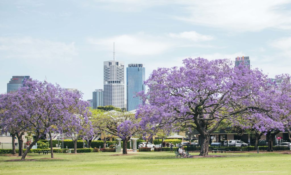 Why this blue-chip locale is Queensland's priciest postcode