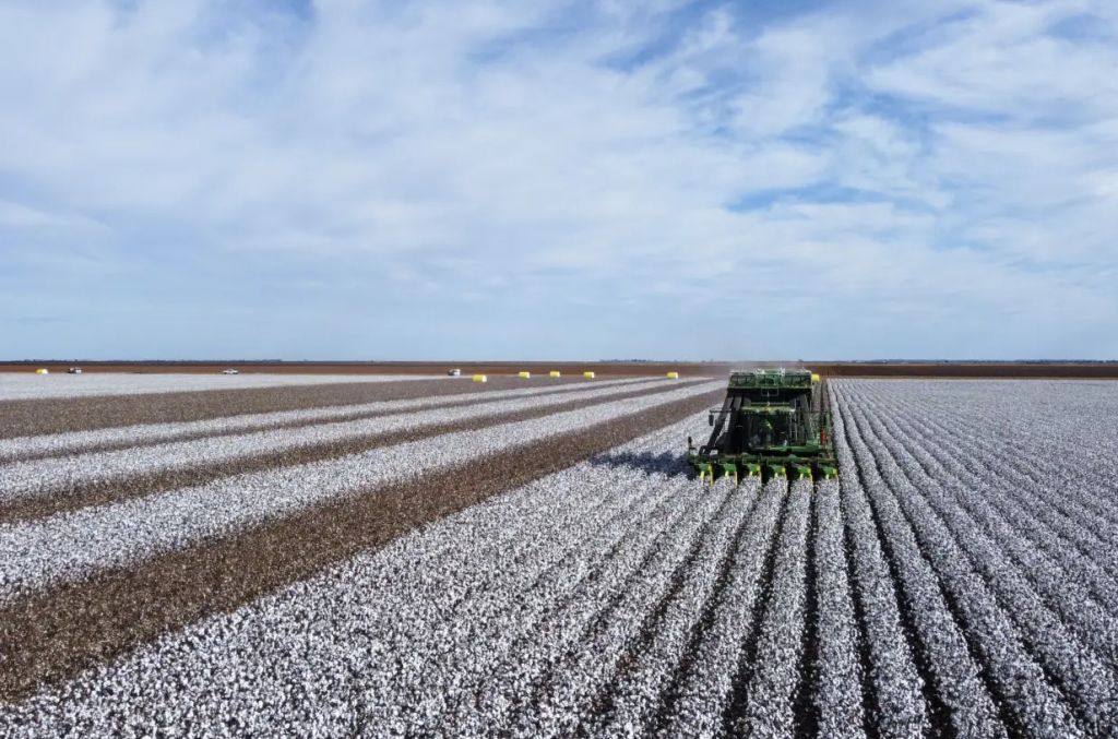 Chinese textile exporter spends $120m on giant NSW cotton farm