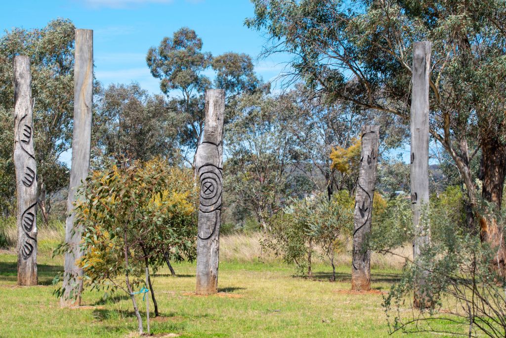 Carved trees or totems created to celebrate the history of the local Kamilaroi People. Photo: Stephen Dwyer / Alamy Stock Photo