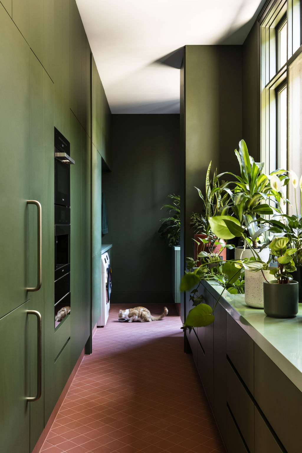 McCabe says colourful wallpaper or paint is the simplest way to transform any space. Hermon House by Wowowa. Stylist Ruth Welsby. Photo: Martina Gemmola