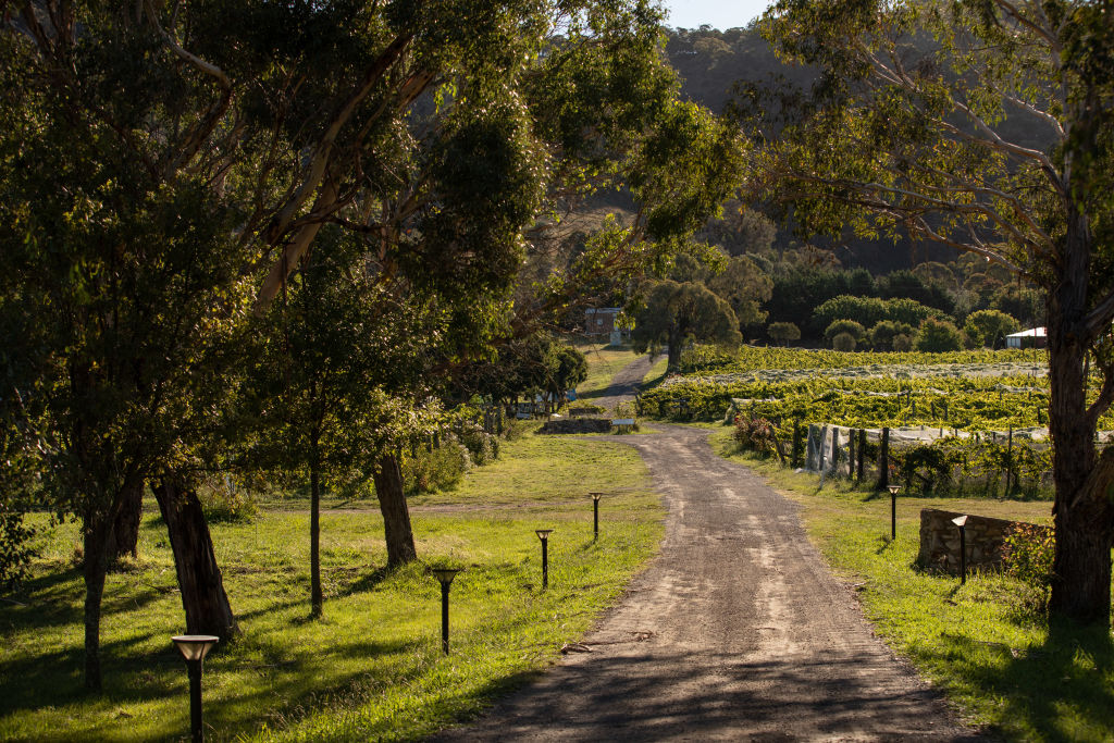The idyllic location is ideal for cool-climate wines