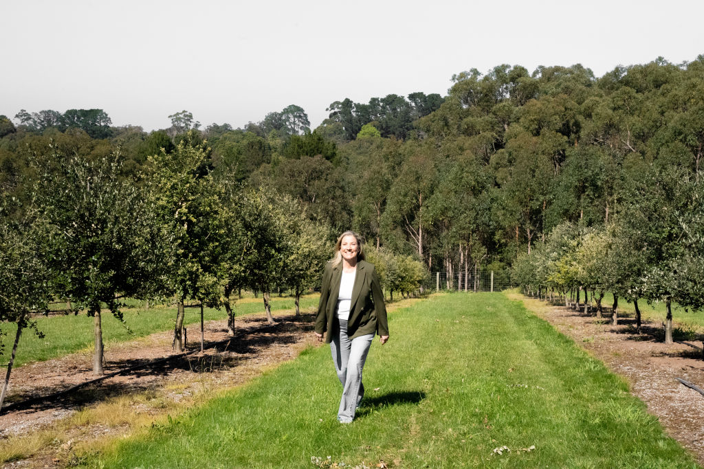 A luxurious property for sale with three kitchens and a truffle farm