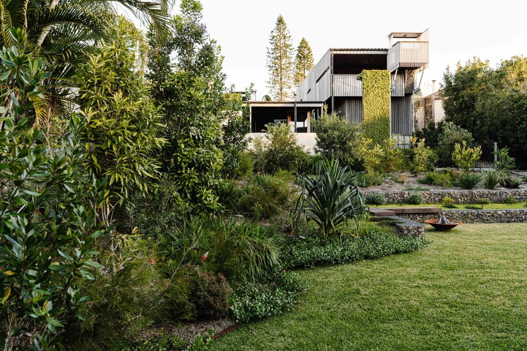 'I wanted a lush, layered, native landscape that takes over the architecture,' landscape designer Kirsti Sheldon says. Photo: Marnie Hawson