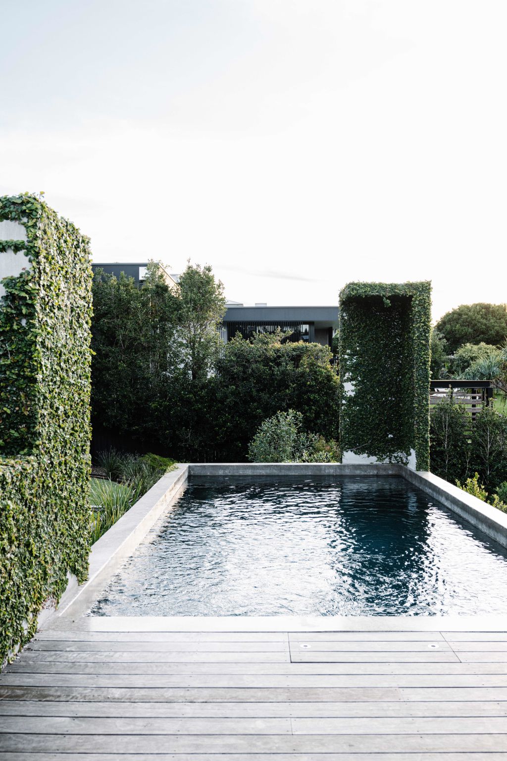 Grevilleas, Banksias and coastal rosemary provide privacy and act as a verdant backdrop for the pool. Photo: Marnie Hawson