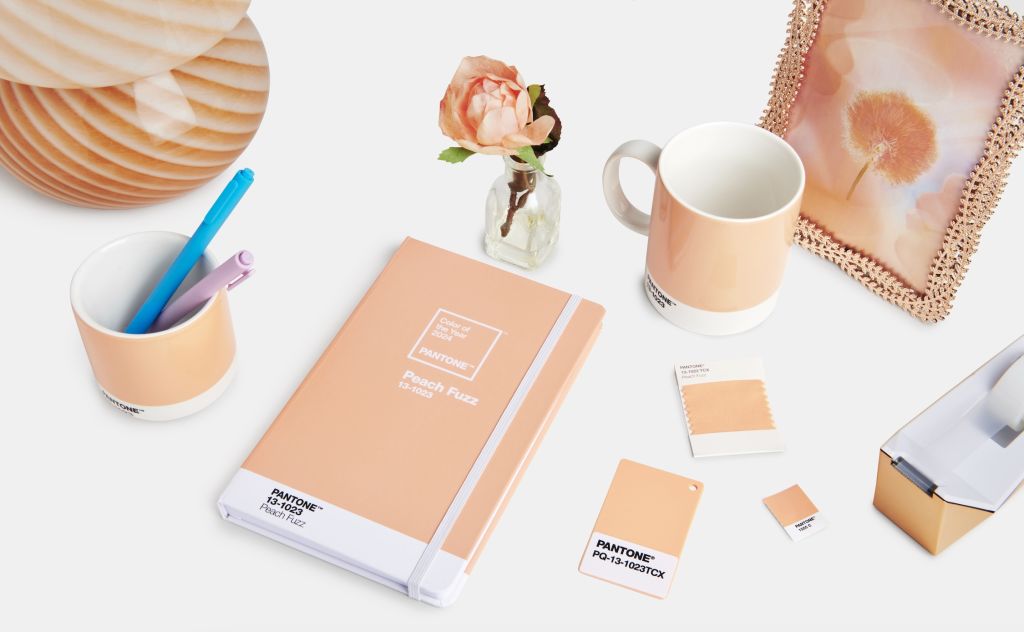 'Peach Fuzz was chosen because it 'captures our desire to nurture others and ourselves,' says Leatrice Eiseman, executive director at the Pantone Colour Institute. Photo: Pantone