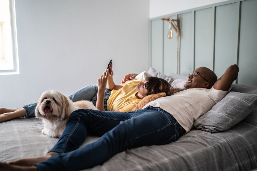 Pets and phone use aren't outrightly banned, but can be problematic, the experts say. Photo: FG Trade