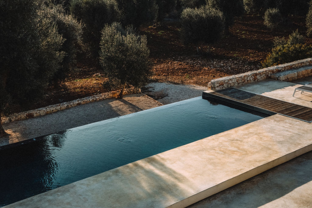 The pool is surrounded by olive trees. Photo: Agi Sibiga