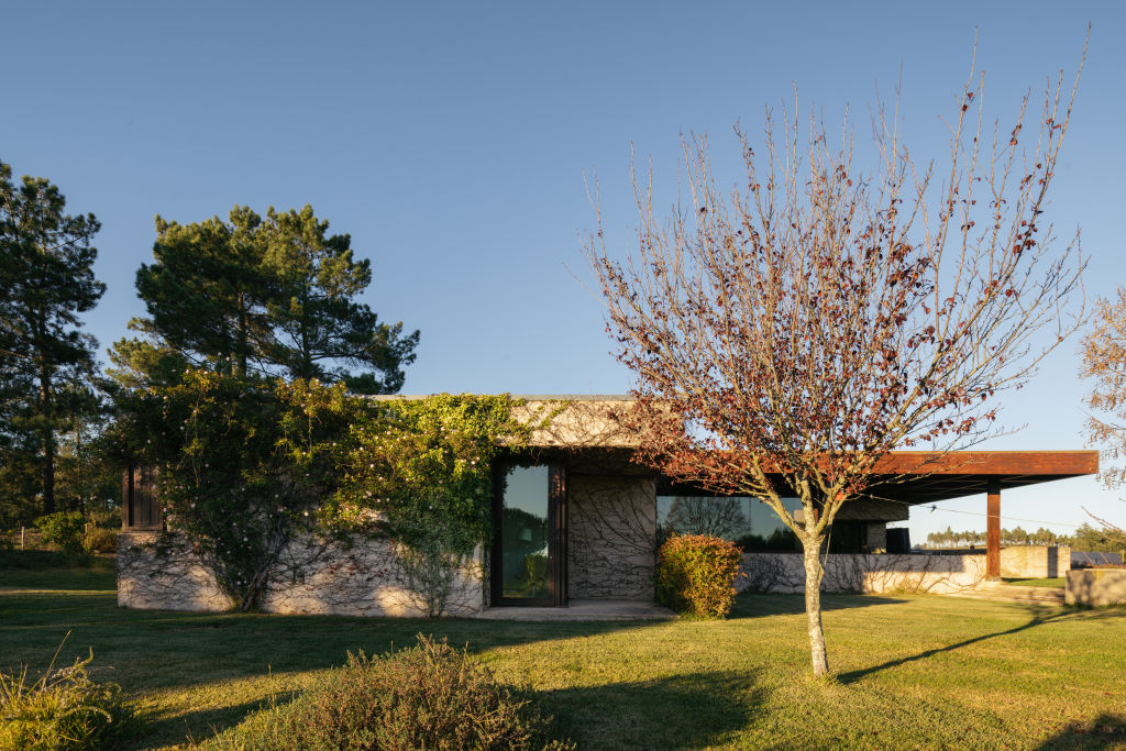 Harvest House, Portugal, is designed to sit as one with its natural surrounds. Photo: Luis Nobre Guedes
