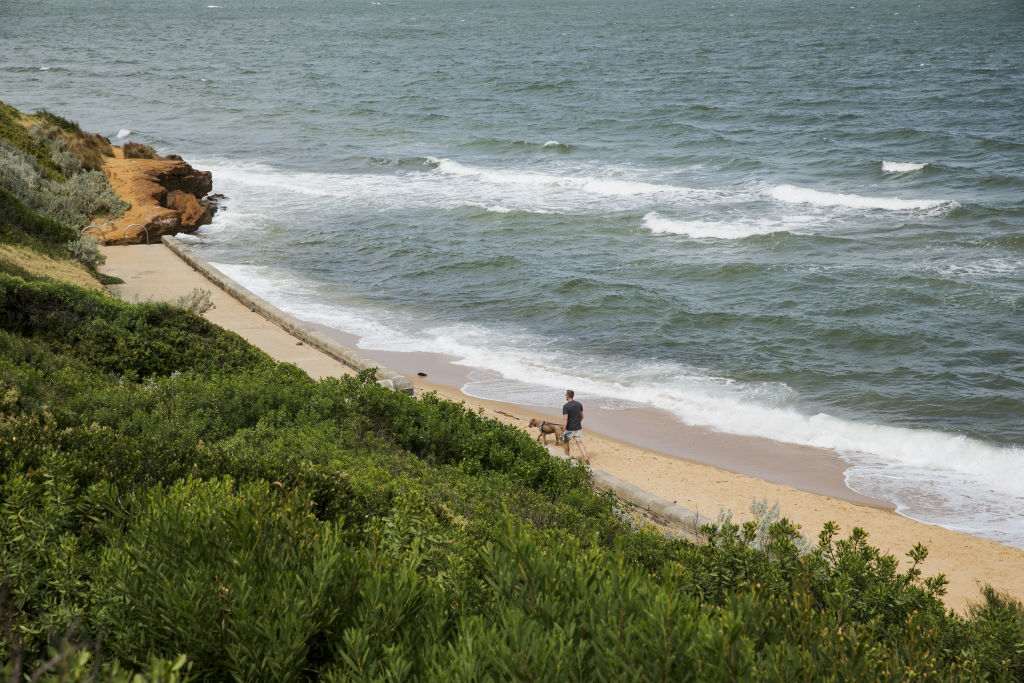 Sandringham Beach is a big draw for the neighbourhood. Photo: Amy Hemmings