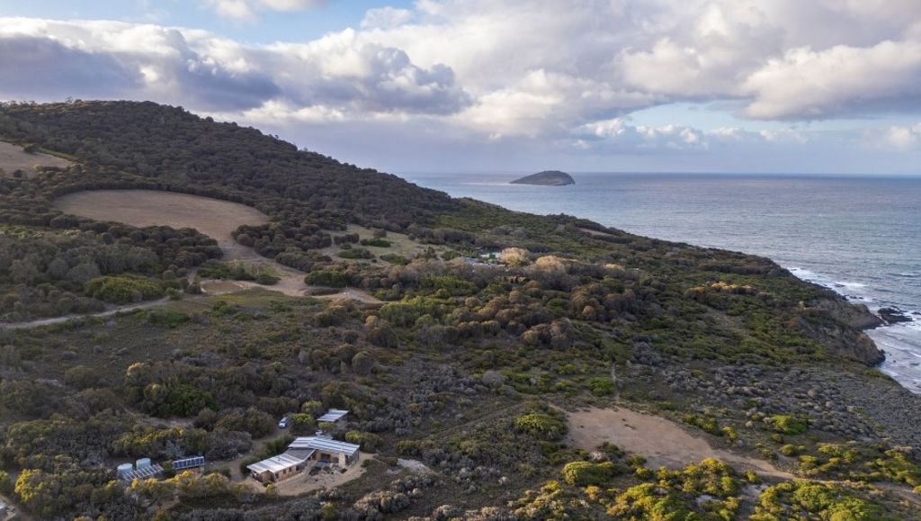 Blink and you'll miss Tasmania's incredibly private home for sale. Photo: Harrison Agents Hobart