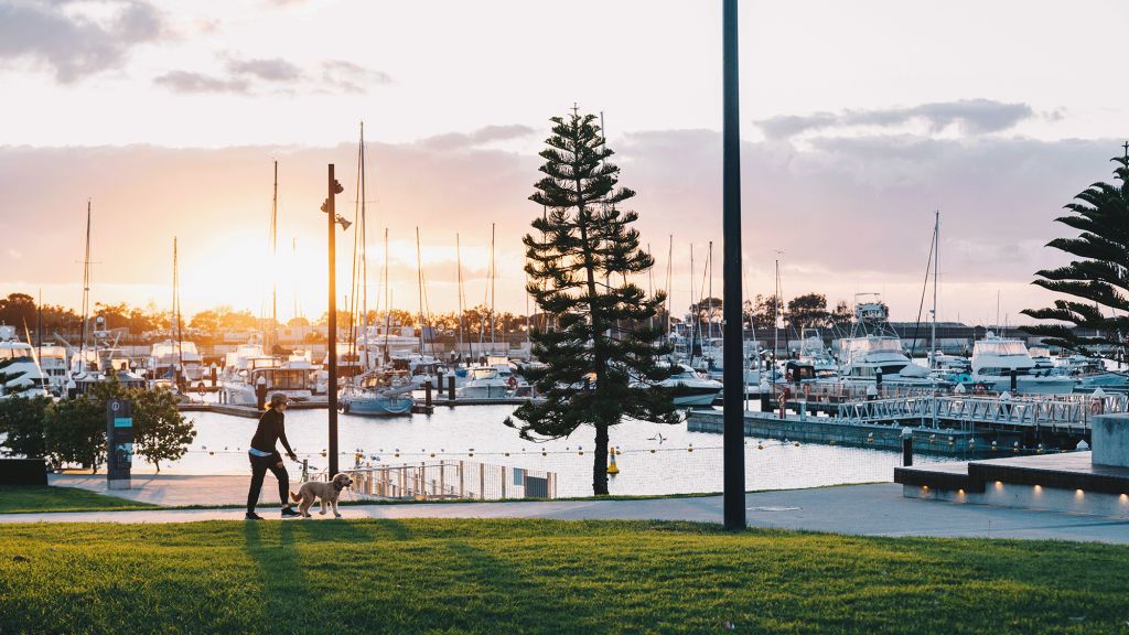 As well as the bustling marina, Shell Cove boasts new houses, promenades, schools, shops, and parks.  Photo: Supplied
