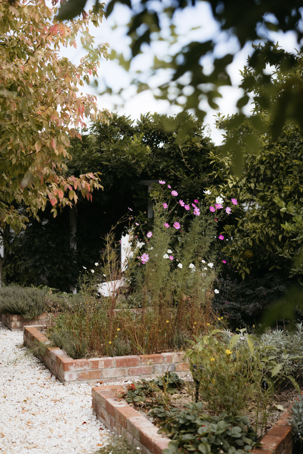 The lush garden brings Yeow happiness and serenity. Photo: Dan Evans