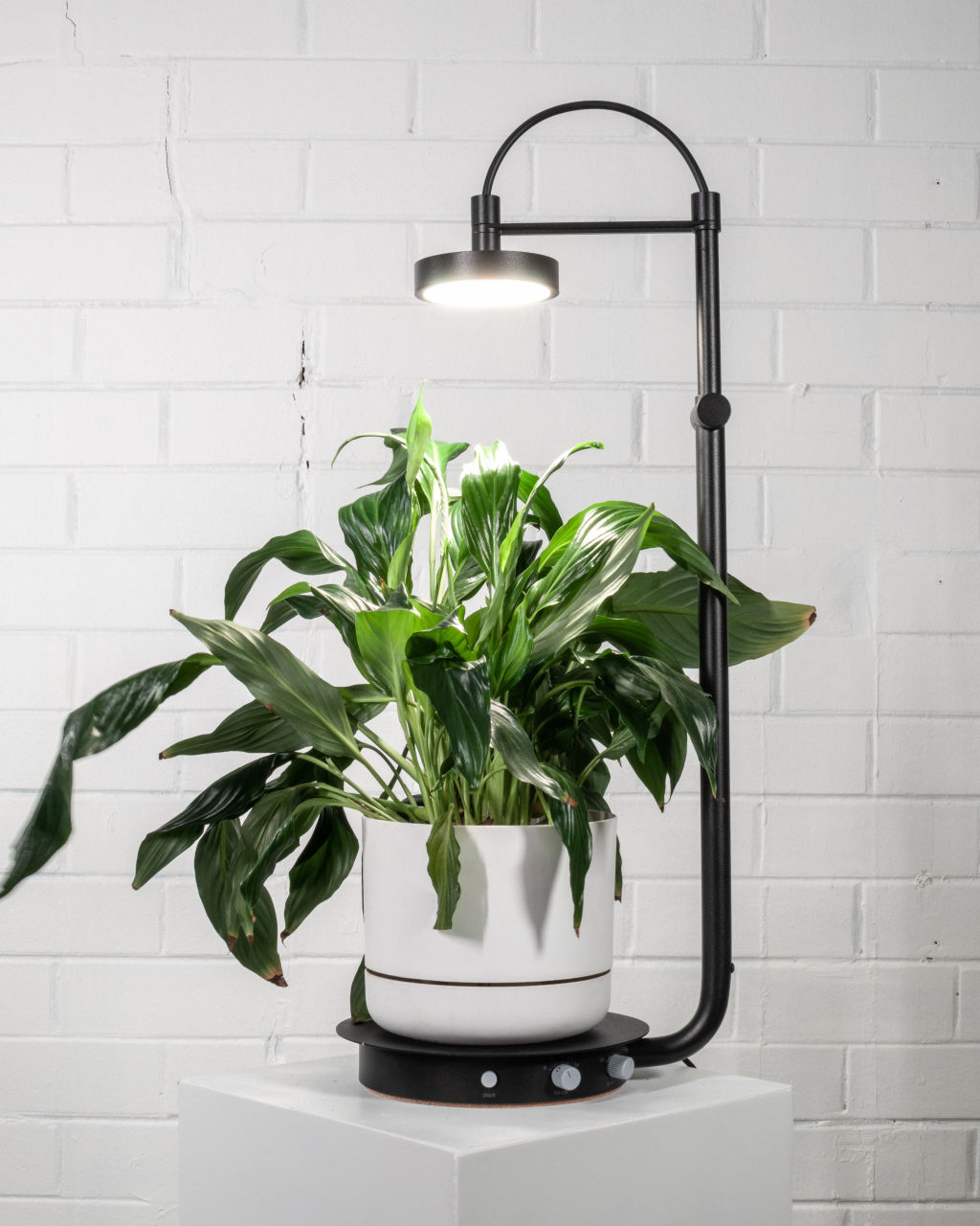 Lights like the ones from Grow Ample can help your plants thrive.  Photo: Grow Ample