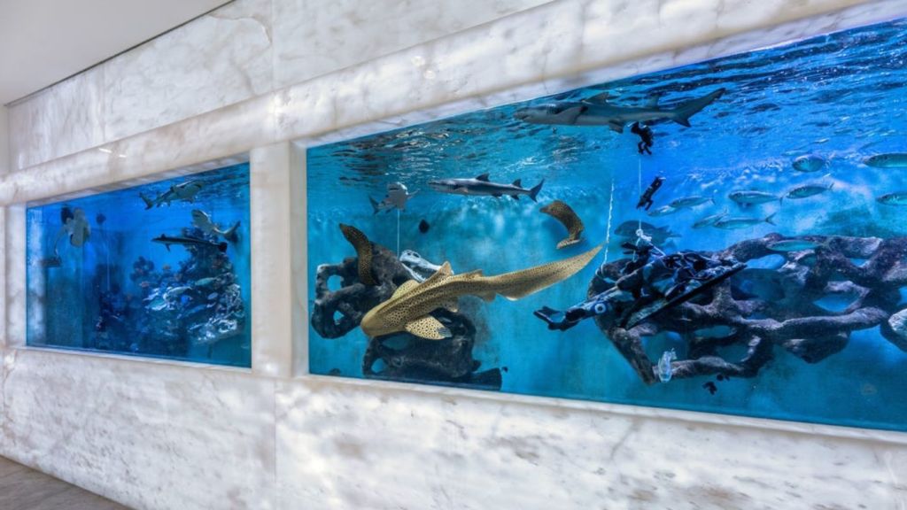 The shark tank, with marble and oak finishes, in the amazing Kangaroo Point home. Photo:  DJW Property
