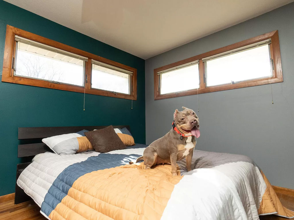An adorable star of the ad for 2333 E Bethel Ln, Bloomington, Indiana. Photo: Zillow