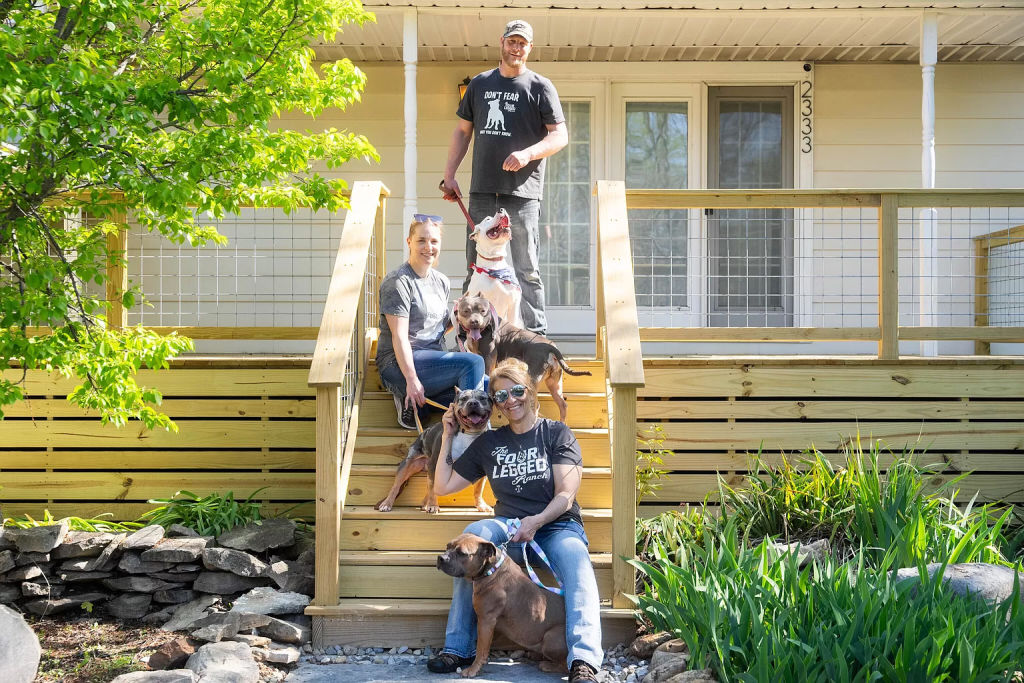Carers from Four Legged Ranch & MCHS and the dogs available for new homes. Photo: Zillow