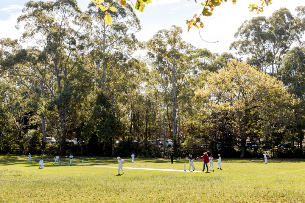 Why Turramurra is the 'epitome of the leafy north shore'