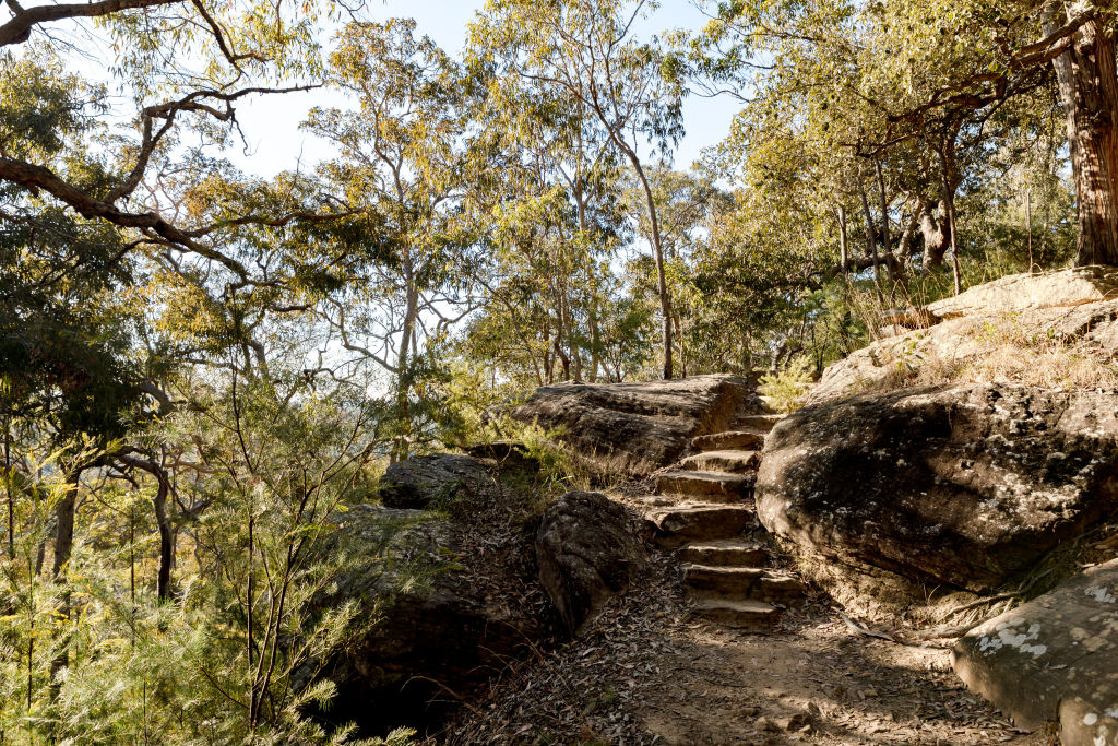 Stretch your legs on one of the suburb’s bushland trails. Photo: Vaida Savickaite