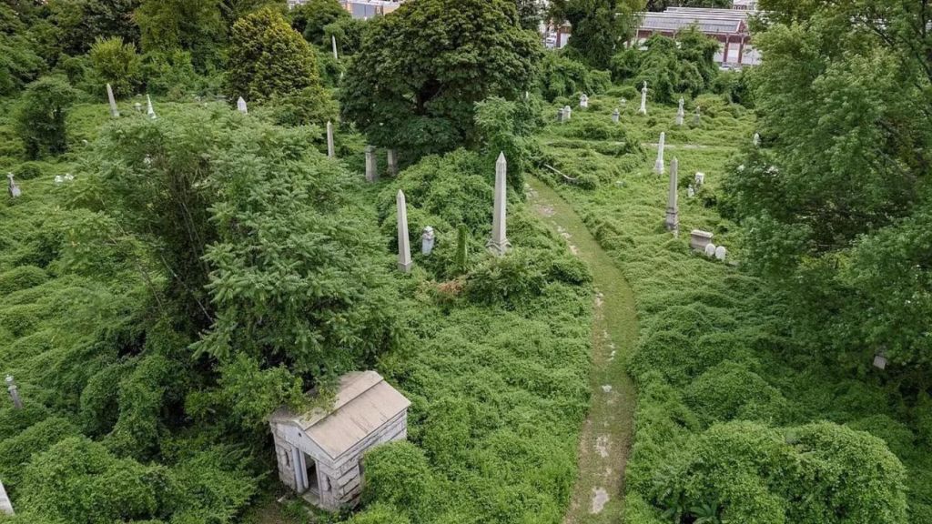 More than 33,000 Americans are buried there. The listing photo shows monuments and headstones poking through the extreme overgrowth. Photo: Zillow