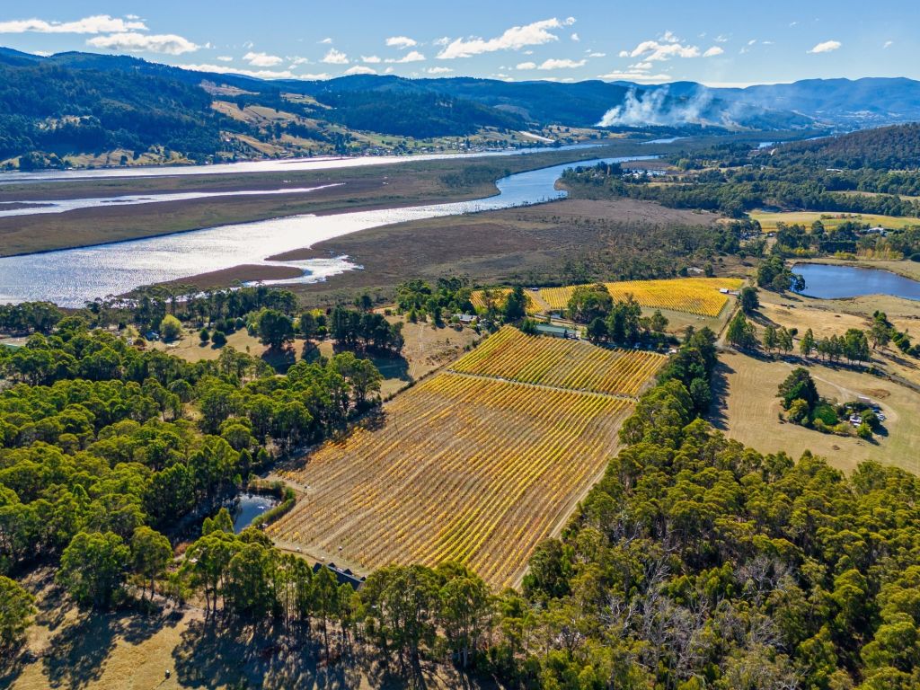 Uncork your potential: Vineyards and wineries across Australia that could be yours