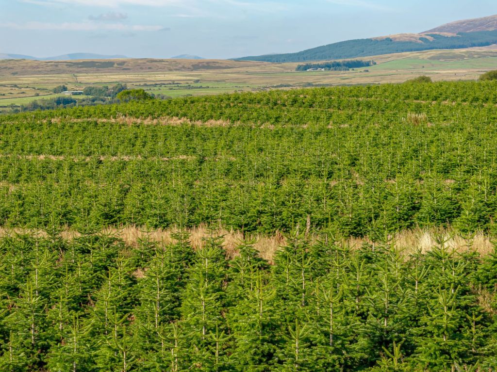 Farmland buyers are back after sales slump