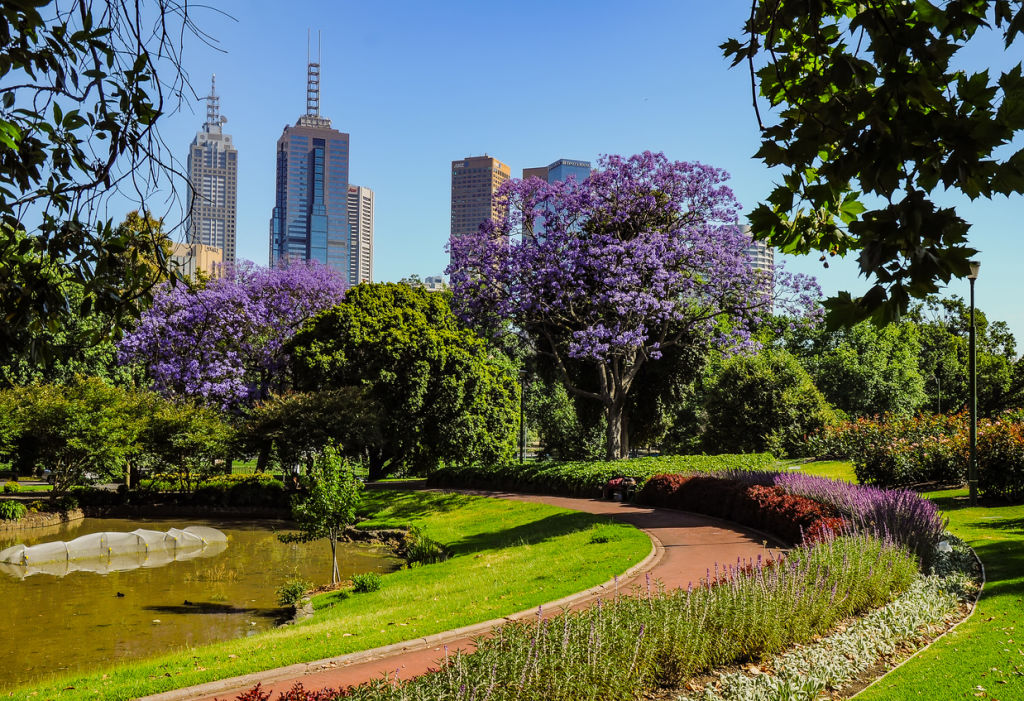 The nearby Royal Botanical Garden. Photo: Zoya Avenirovna