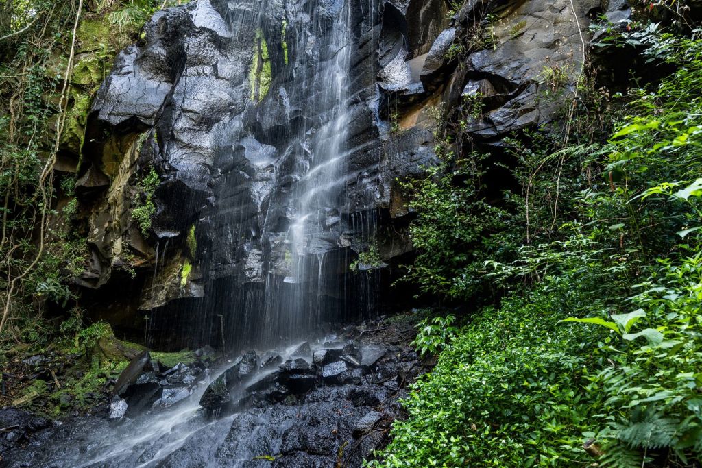 One of over five private waterfalls in the grounds. Photo: Ray White Rural Queensland