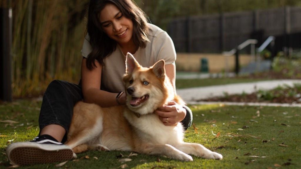 The Resido apartment building welcomes pets. Photo: Instagram/@lifeatresido