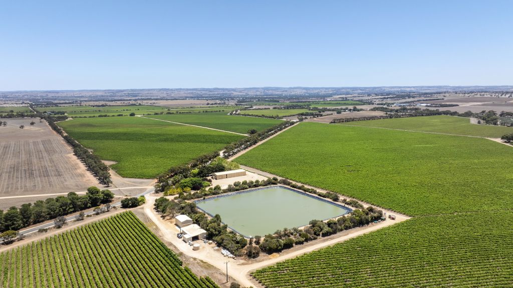 Two South Australian vineyards are now for sale