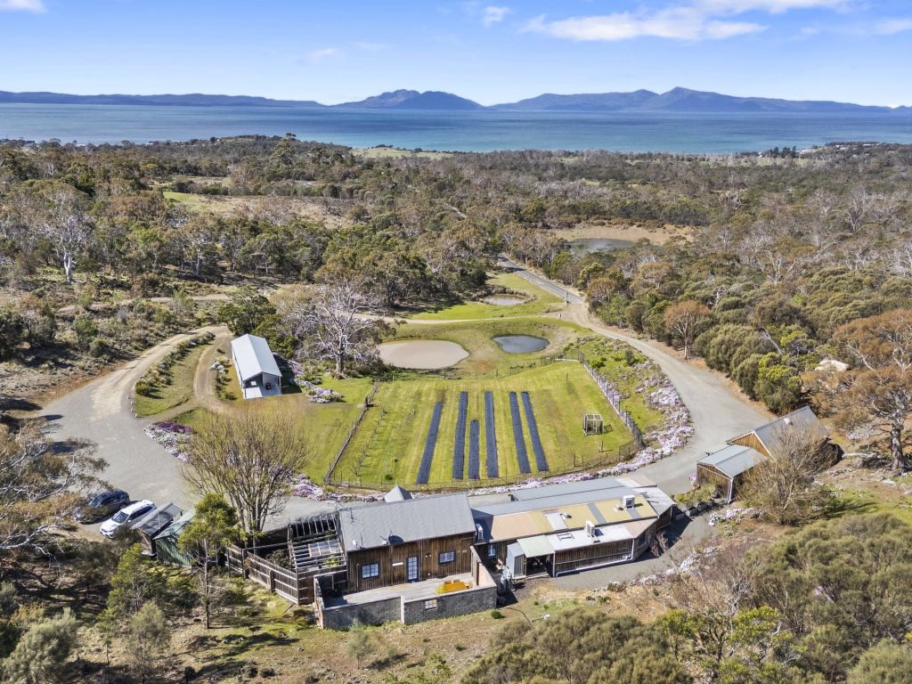 Two Australian berry farms are ripe for the picking