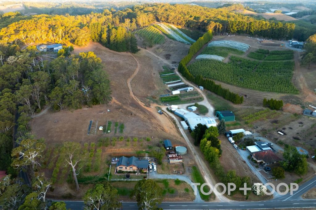 Opportunity ripe for picking at property in the Adelaide Hills