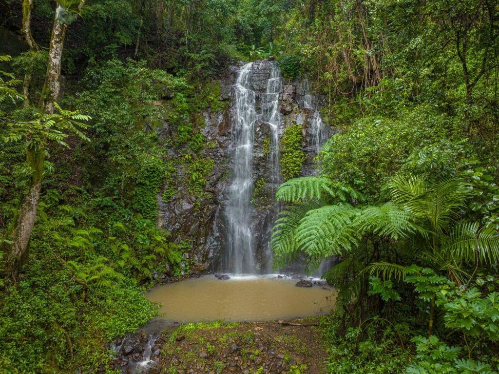 The private waterfall has made this hinterland estate popular with guests. Photo: @realty