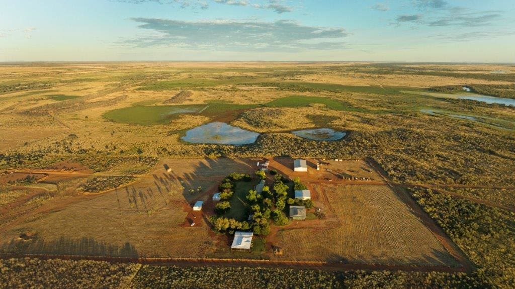 Five cattle stations for sale in Australia right now