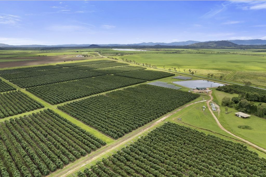 These high-production orchards across Australia are seeking new caretakers