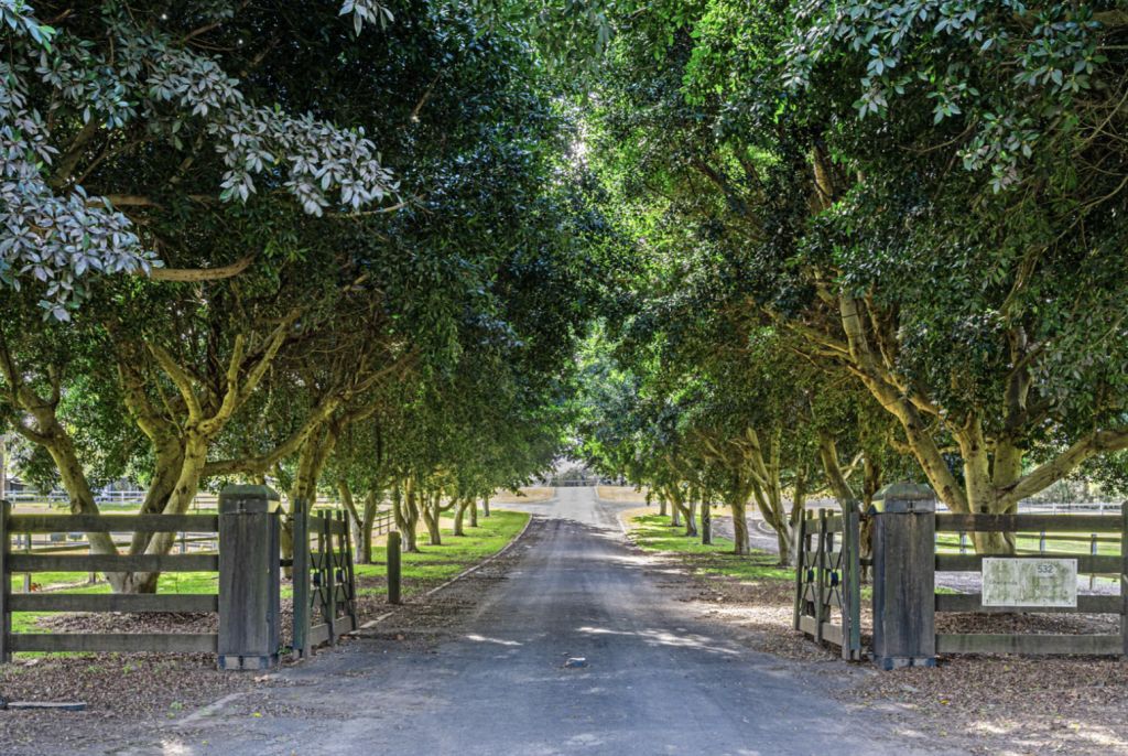 A polo estate with big lifestyle appeal near Sydney