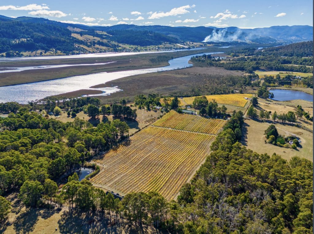 6 Australian vineyards (and a microbrewery) for sale right now