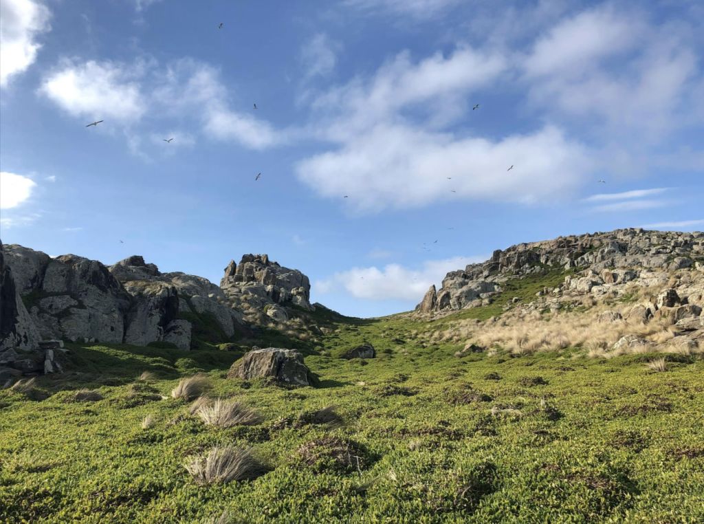 Ninth Island in Tassie awaits its next chapter