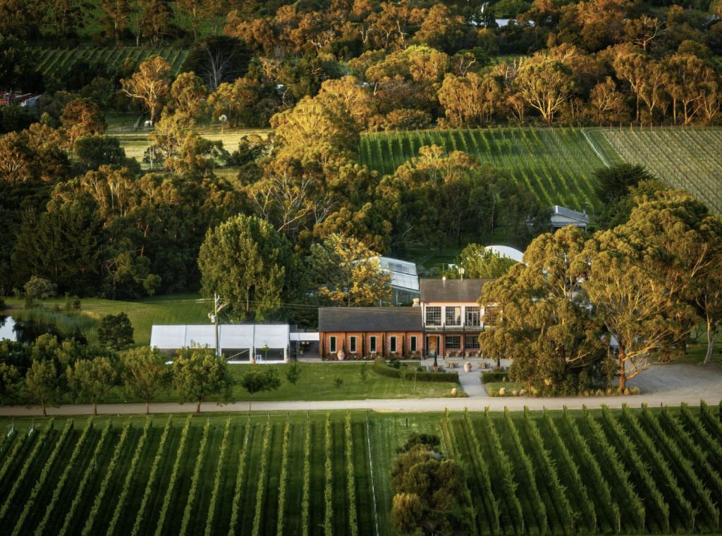 Uncork your potential: 8 Australian vineyards for sale now